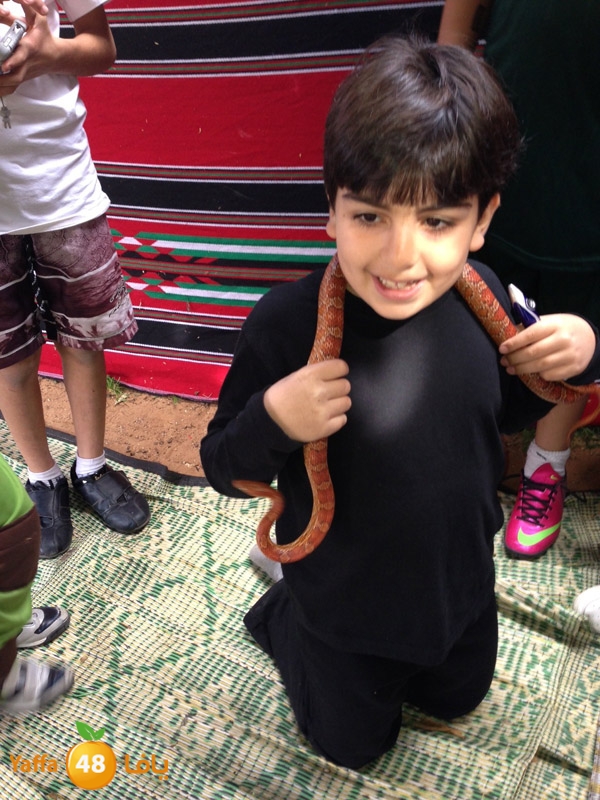 seyamkaber316jh (6).jpeg